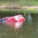 Encontraron los cadáveres de una madre y sus dos hijos en un auto sumergido en un lago de Florida