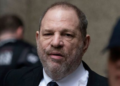 “Ella Dijo”: la película que trata sobre el “MeToo” y los abusos del productor  Harvey Weinstein