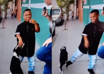 VIDEO| ¡Tú no, Medio Metro! Redes tunden al bailarín por patear a un perro