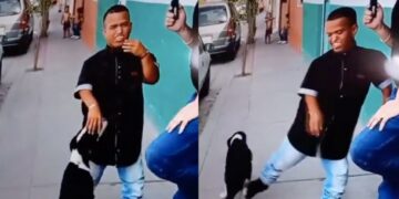 VIDEO| ¡Tú no, Medio Metro! Redes tunden al bailarín por patear a un perro