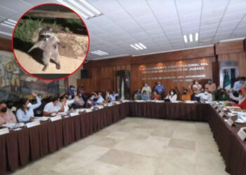 VIDEO| ¡Mapaches políticos! iunterrumpieron sesión del Cabildo en Acapulco