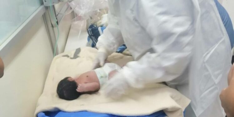 Abandonan a un bebé recién nacida en un monte en Sinaloa
