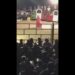 VIDEO: Un comando irrumpió en un jaripeo y mató a tiros a un líder criminal en Oaxaca