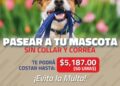 Multas de más de cinco mil pesos si paseas a tu mascota sin correa