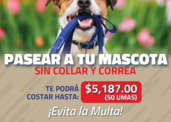 Multas de más de cinco mil pesos si paseas a tu mascota sin correa