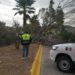 Protección Civil atiende reportes por fuertes vientos en SLP