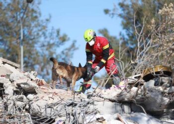VIDEO: ¡Patas a la obra! Así trabajan los binomios caninos mexicanos para salvar vidas, tras devastador terremoto en Turquía