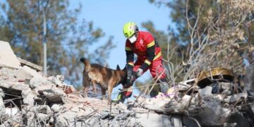 VIDEO: ¡Patas a la obra! Así trabajan los binomios caninos mexicanos para salvar vidas, tras devastador terremoto en Turquía