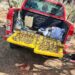 Hallan restos óseos y camioneta robada en camino a la Delegación de Bocas
