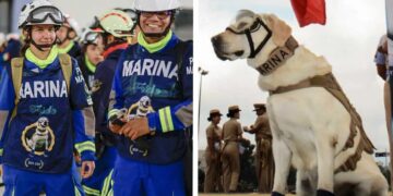 VIDEOS: Rescatistas mexicanos viajan a Turquía con playeras de Frida