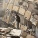 Nuevo terremoto de magnitud 6.3 sacude Turquía
