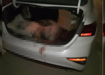 En Guanajuato, asesinan a Guardia Nacional y dejan su cuerpo encajuelado