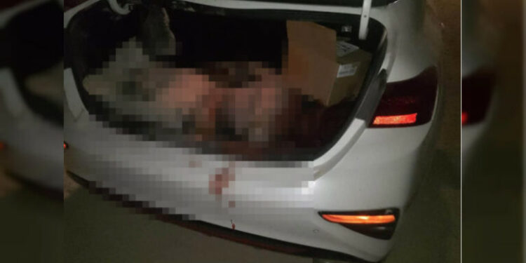 En Guanajuato, asesinan a Guardia Nacional y dejan su cuerpo encajuelado