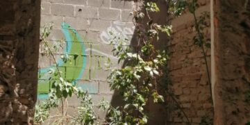 VIDEO: Piden apoyo de autoridades ante posible colapso de un inmueble en el Callejón del Cariño