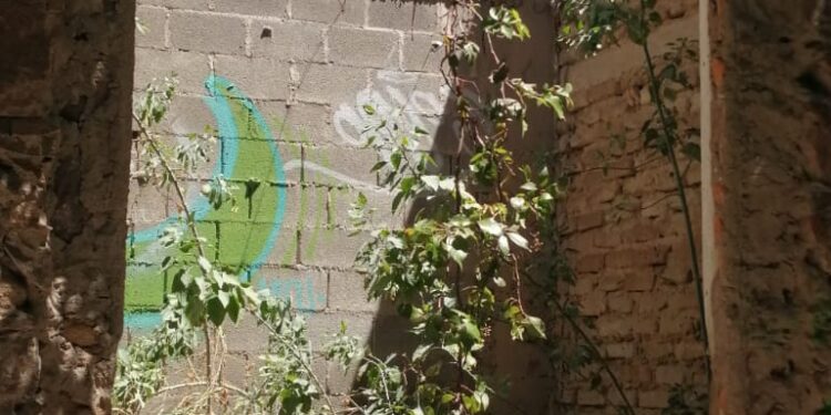 VIDEO: Piden apoyo de autoridades ante posible colapso de un inmueble en el Callejón del Cariño