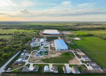 ¿Elon Musk construirá una ciudad completa sólo para sus empleados?; esto es lo que se sabe