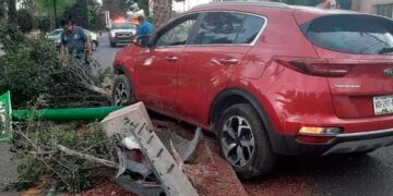 Conductora choca y derriba un poste en Avenida de La Paz