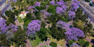 Martes mayormente soleado en la capital potosina