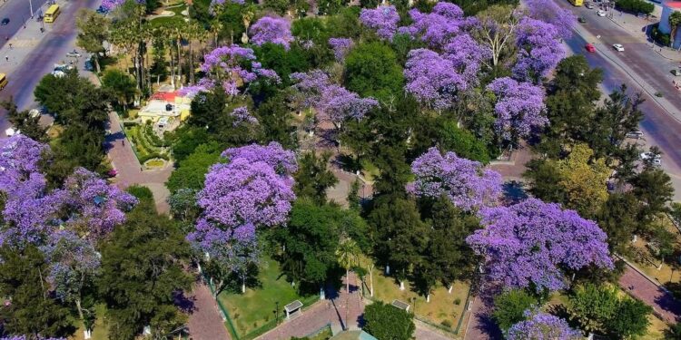 Martes mayormente soleado en la capital potosina