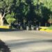 Parques Tangamanga se  coordinan con corporaciones para acabar con asaltos