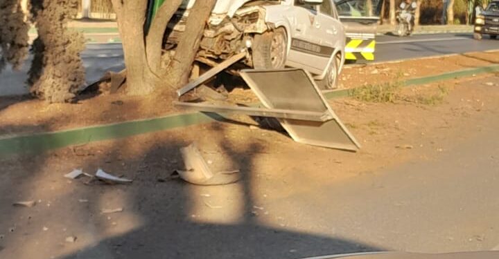 Auto se impacta contra un árbol en la salida de la carretera a Zacatecas