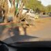 Auto se impacta contra un árbol en la salida de la carretera a Zacatecas