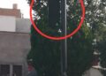 Sin funcionar semáforo peatonal de Reforma desde diciembre