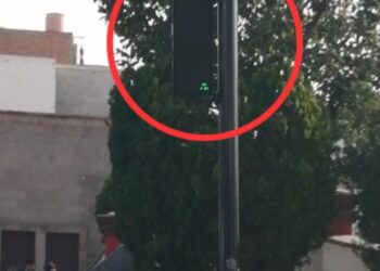 Sin funcionar semáforo peatonal de Reforma desde diciembre