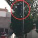 Sin funcionar semáforo peatonal de Reforma desde diciembre