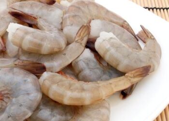 Por cuaresma, DIF Municipal de San Luis Potosí venderá pescados y mariscos a costos accesibles