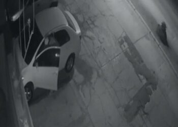 VIDEO: Captan en vídeo a ratero que opera en Balcones del Valle