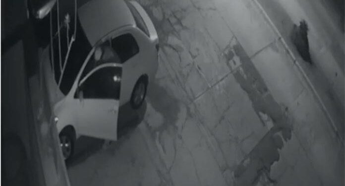 VIDEO: Captan en vídeo a ratero que opera en Balcones del Valle