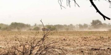 Emiten alerta amarilla por sequía severa en 14 municipios