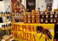 Arranca Feria del Queso en Villa de Reyes