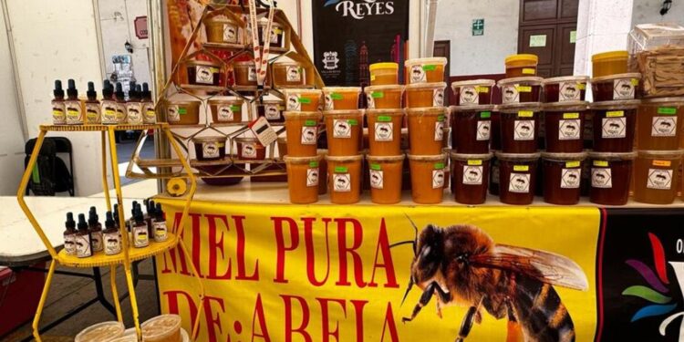 Arranca Feria del Queso en Villa de Reyes