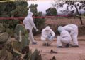 En 5 años, hallan 57 fosas en SLP