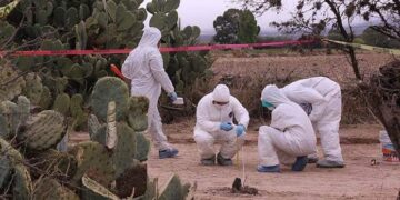 En 5 años, hallan 57 fosas en SLP