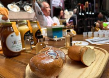 Con música y gastronomía, Villa de Reyes prepara la Feria del Queso edición 2023