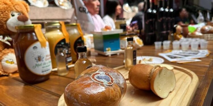 Con música y gastronomía, Villa de Reyes prepara la Feria del Queso edición 2023