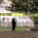 Detienen a dos policías de Puebla por violar a mujer a cambio de no multarla