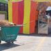 Feria Nacional de la Enchilada genera 158 toneladas de basura