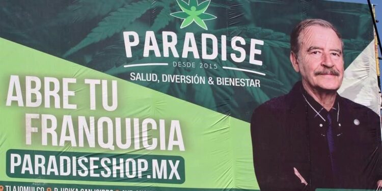 Cofepris alista acciones para revocar permisos a empresas de cannabis de Fox