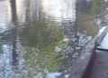 VIDEOS: Por fuga de aguas negras vecinos de la Morales Saucito planean tomar la Avenida
