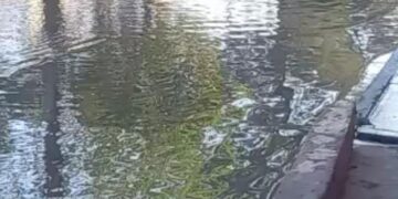 VIDEOS: Por fuga de aguas negras vecinos de la Morales Saucito planean tomar la Avenida