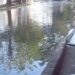 VIDEOS: Por fuga de aguas negras vecinos de la Morales Saucito planean tomar la Avenida