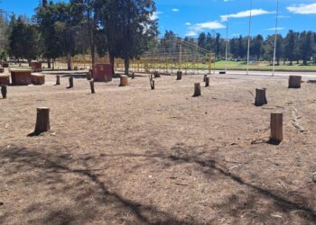 Por plagas se han talado árboles en el Parque Tangamanga I, pero habrá reforestación: Ricardo Gallardo