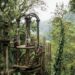 Xilitla y Aquismón serán set de una película extranjera; estiman derrama de 150 mdp