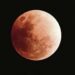 Se aproxima un eclipse lunar en México: ¿Cuándo y a qué hora se podrá ver el evento astronómico?