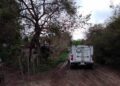 Hallan dos cuerpos calcinados en el municipio de Tamuín