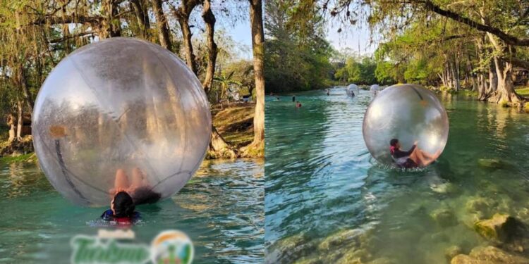 ¡Camina sobre ríos en SLP! Conoce las esferas traslúcidas de El Naranjo